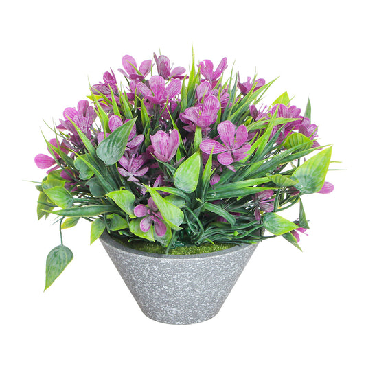 Grey Cone Flowers pot