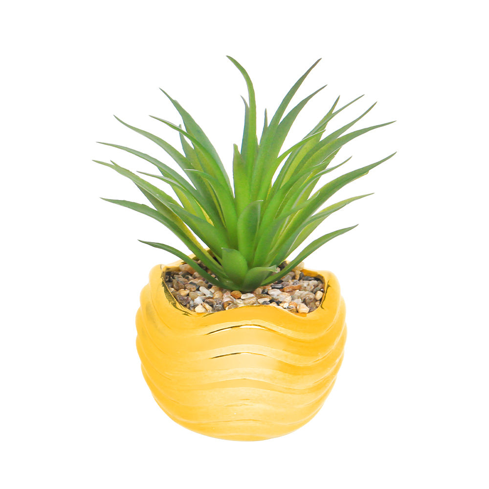 Golden Grass Pot